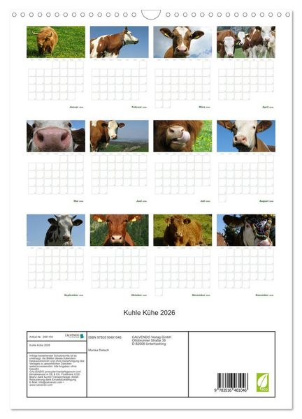 Produktbild: Kuhle K&uuml;he 2026 (Wandkalender 2026 DIN A3 hoch), CALVENDO Monatskalender