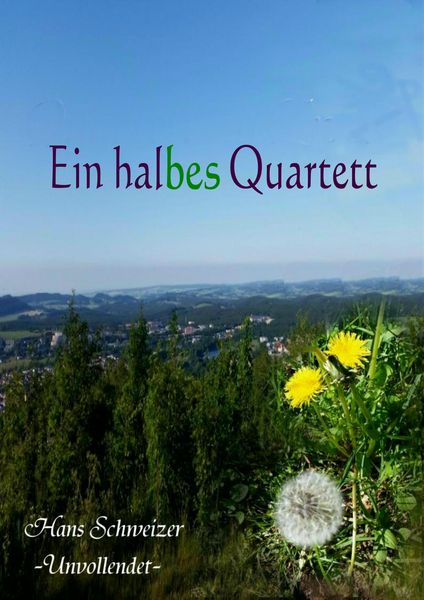 Produktbild: Ein halbes Quartett