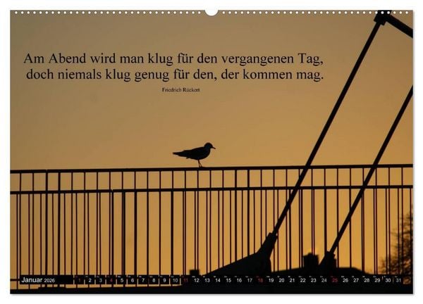 Produktbild: Weisheiten, Zitate und Spr&uuml;che - Ein Jahr voller Gedanken 2026 (hochwertiger Premium Wandkalender 2026 DIN A2 quer), Kunstdruck in Hochglanz