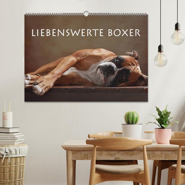 Produktbild: Liebenswerte Boxer (Wandkalender 2026 DIN A2 quer), CALVENDO Monatskalender