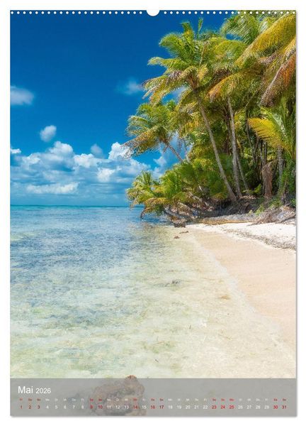 Produktbild: Karibischer Traum Isla Saona (hochwertiger Premium Wandkalender 2026 DIN A2 hoch), Kunstdruck in Hochglanz