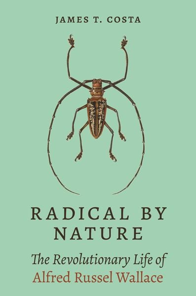 Produktbild: Radical by Nature