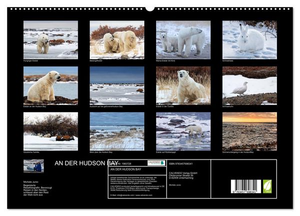 Produktbild: AN DER HUDSON BAY (hochwertiger Premium Wandkalender 2026 DIN A2 quer), Kunstdruck in Hochglanz