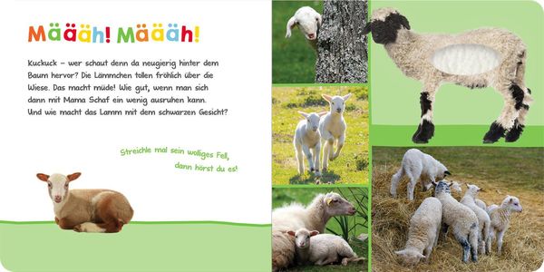 Hör mal rein, wer kann das sein? – Im Frühling