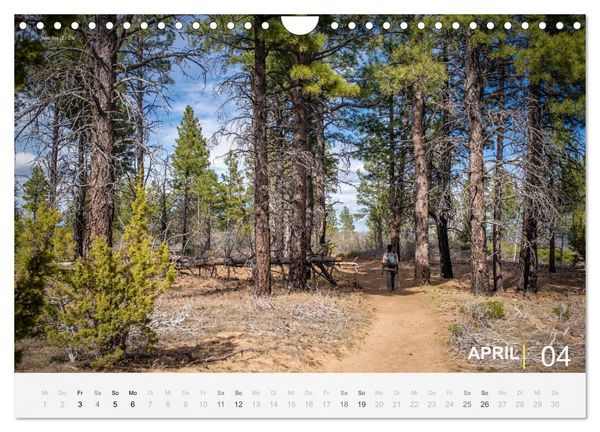 Produktbild: Wunderbare Wanderungen im S&uuml;dwesten der USA (Wandkalender 2026 DIN A4 quer), CALVENDO Monatskalender