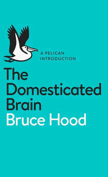 Produktbild: The Domesticated Brain