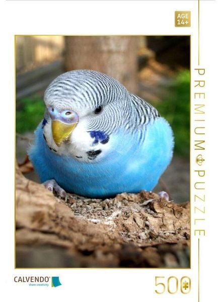 CALVENDO Puzzle Wellensittich am Birnenbaum | 500 Teile Lege-Größe 48 × 36 cm Foto-Puzzle für Erwachsene