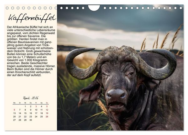 Produktbild: Majest&auml;tische Horntr&auml;ger (Wandkalender 2026 DIN A4 quer), CALVENDO Monatskalender