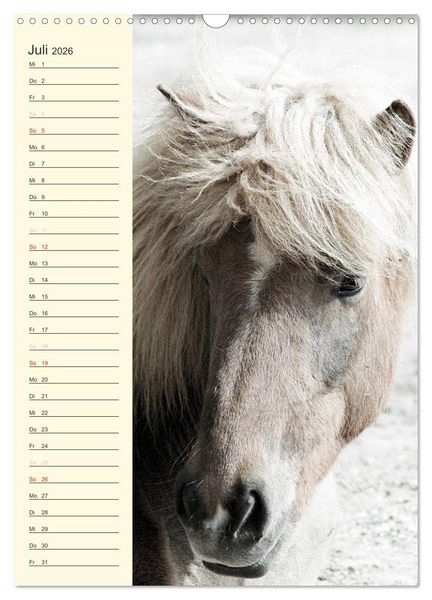 Produktbild: Islandpferde Geburtstagskalender (Wandkalender 2026 DIN A3 hoch), CALVENDO Monatskalender