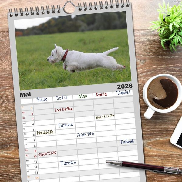 Produktbild: Familienplaner 2026 - West Highland White Terrier - Selbstbewustes Powerpaket - der Westie mit 5 Spalten (Wandkalender, 21 x 45 cm) CALVENDO