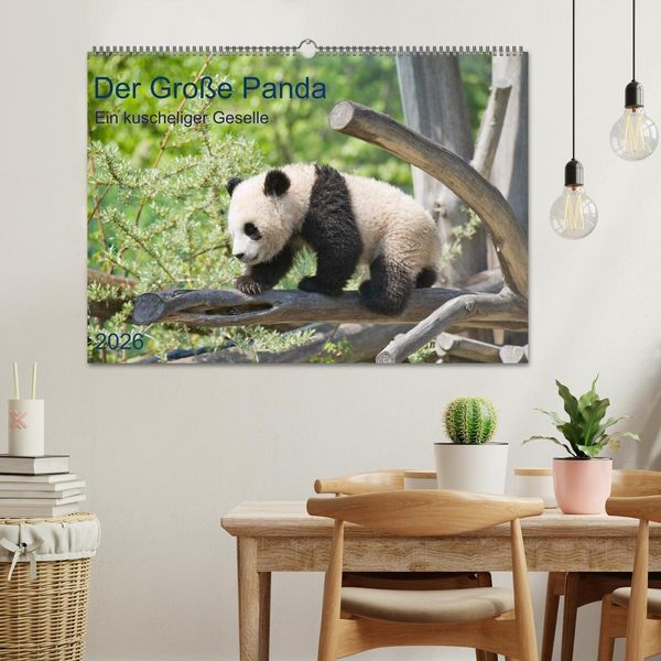 Produktbild: Der Gro&szlig;e Panda Ein kuscheliger Geselle (Wandkalender 2026 DIN A2 quer), CALVENDO Monatskalender
