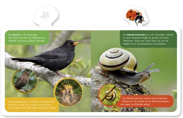 Produktbild: Tiere im Garten
