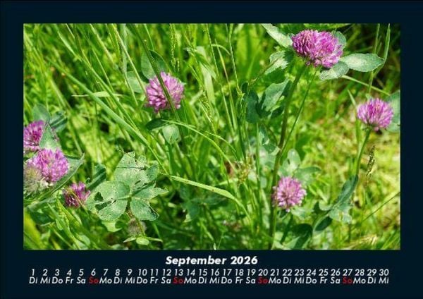 Produktbild: Bilder der Natur 2026 Fotokalender DIN A5
