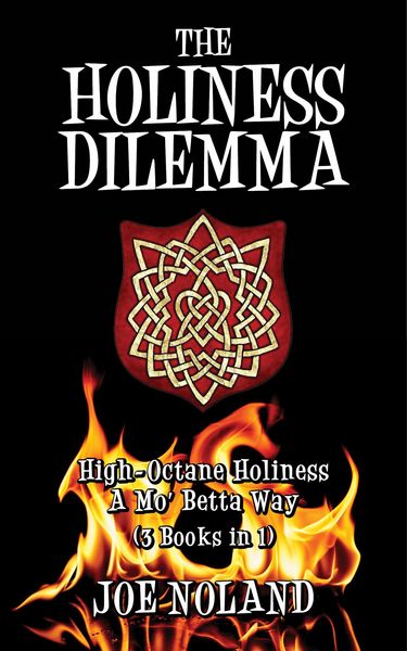 Produktbild: The Holiness Dilemma