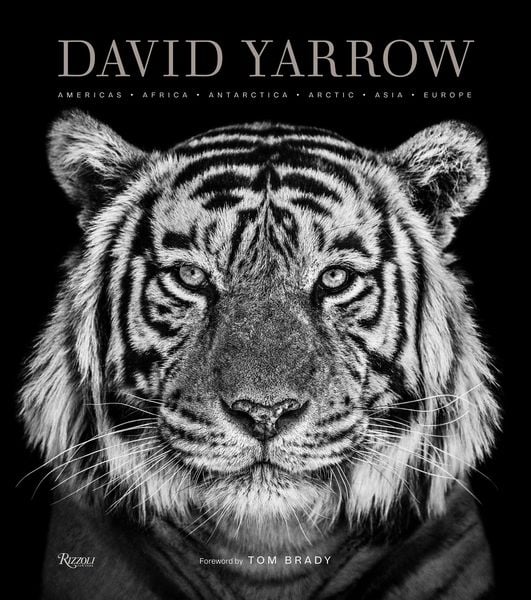 Produktbild: David Yarrow Photography