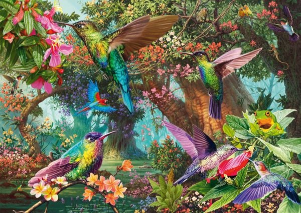 Produktbild: PU1000T.Farbenspiel der Kolibris