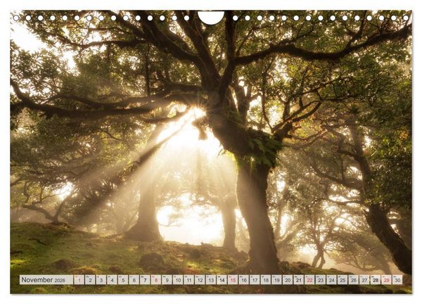 Produktbild: Madeira - eine Rundreise (Wandkalender 2026 DIN A4 quer), CALVENDO Monatskalender