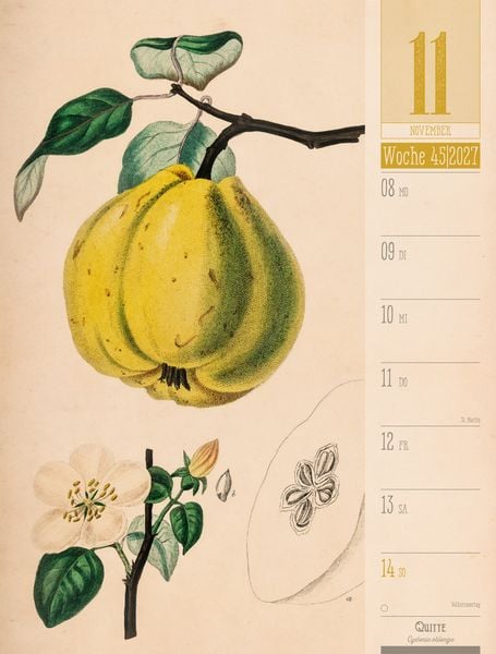 Produktbild: Culinarium Wochenplaner Kalender 2027 | K&uuml;che, Kr&auml;uter, Kurioses