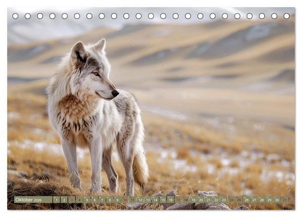 Produktbild: Die wilden Hunde (Tischkalender 2026 DIN A5 quer), CALVENDO Monatskalender