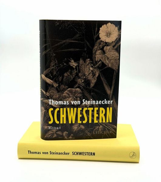 Produktbild: Schwestern