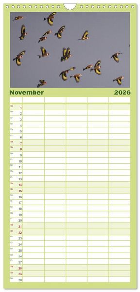 Produktbild: Familienplaner 2026 - Die farbenfrohe Welt der Finken mit 5 Spalten (Wandkalender, 21 x 45 cm) CALVENDO
