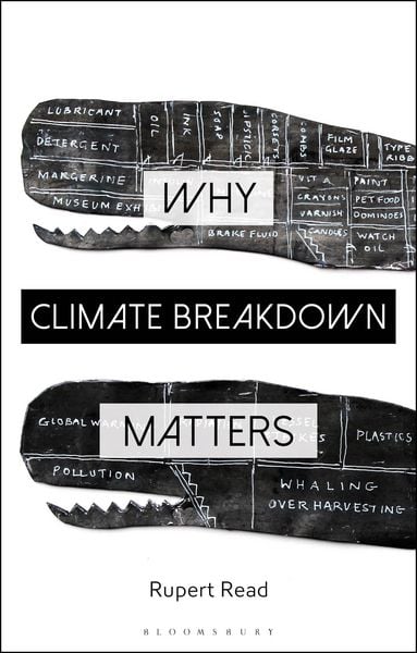Produktbild: Why Climate Breakdown Matters