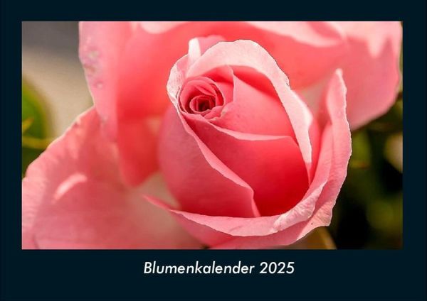 Produktbild: Blumenkalender 2025 Fotokalender DIN A4