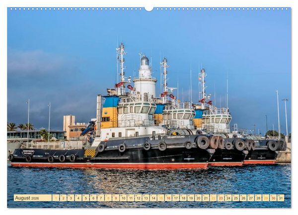 Produktbild: Schlepper - b&auml;renstarke Arbeitstiere (hochwertiger Premium Wandkalender 2026 DIN A2 quer), Kunstdruck in Hochglanz