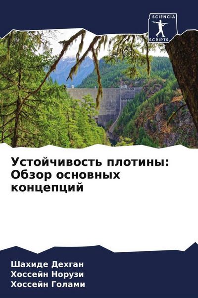 Produktbild: Ustojchiwost' plotiny: Obzor osnownyh koncepcij