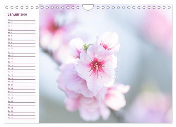 Produktbild: Wenn im Fr&uuml;hling die Natur wieder erwacht (Wandkalender 2026 DIN A4 quer), CALVENDO Monatskalender