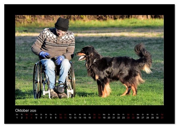 Produktbild: Der Hovawart... Dein Freund f&uuml;rs Leben ! (Wandkalender 2026 DIN A4 quer), CALVENDO Monatskalender