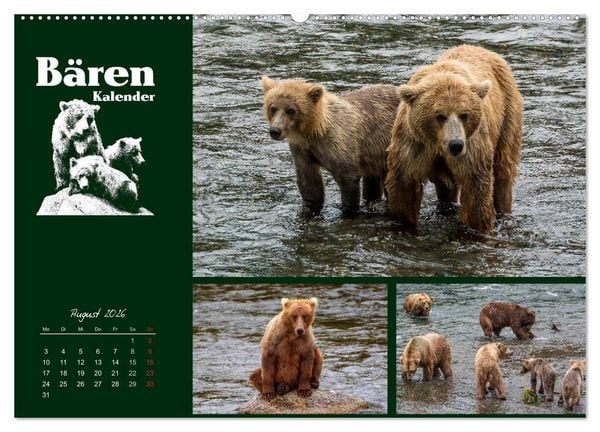 Produktbild: B&auml;renkalender (hochwertiger Premium Wandkalender 2026 DIN A2 quer), Kunstdruck in Hochglanz