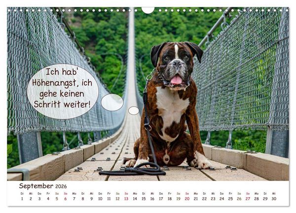 Produktbild: Frei Schnauze 2026. Was Hunde am liebsten sagen w&uuml;rden (Wandkalender 2026 DIN A3 quer), CALVENDO Monatskalender