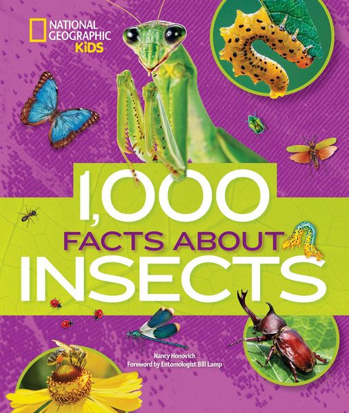 Produktbild: 1,000 Facts about Insects