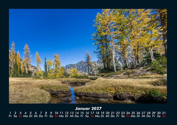 Produktbild: B&auml;ume 2027 Fotokalender DIN A4