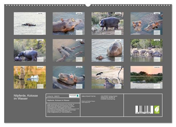 Produktbild: Nilpferde, Kolosse im Wasser (hochwertiger Premium Wandkalender 2026 DIN A2 quer), Kunstdruck in Hochglanz