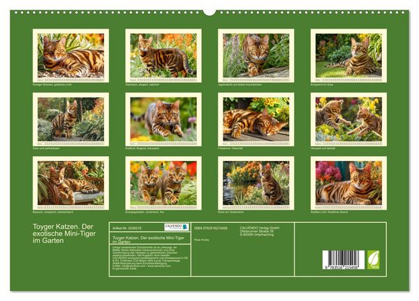 Produktbild: Toyger Katzen. Der exotische Mini-Tiger im Garten (hochwertiger Premium Wandkalender 2026 DIN A2 quer), Kunstdruck in Hochglanz
