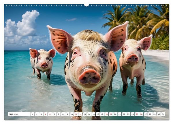 Produktbild: Schwimmende Schweine im Paradies (Wandkalender 2026 DIN A2 quer), CALVENDO Monatskalender