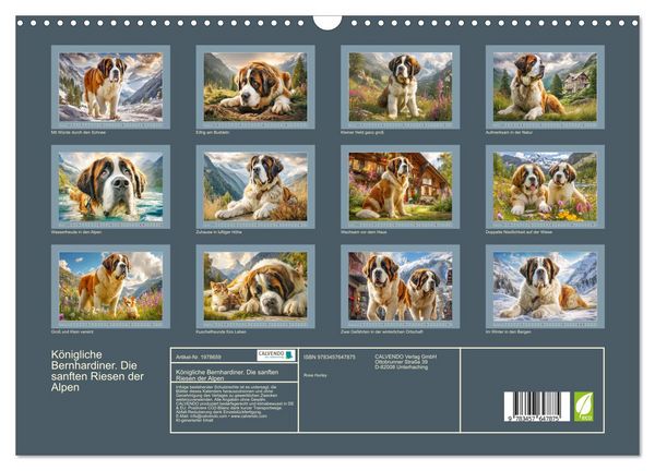 Produktbild: K&ouml;nigliche Bernhardiner. Die sanften Riesen der Alpen (Wandkalender 2026 DIN A3 quer), CALVENDO Monatskalender