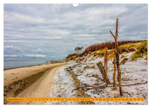Produktbild: Wilder Dar&szlig;er Weststrand (Wandkalender 2027 DIN A3 quer), CALVENDO Monatskalender