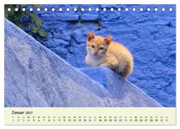 Produktbild: MarokkoCats (Tischkalender 2027 DIN A5 quer), CALVENDO Monatskalender