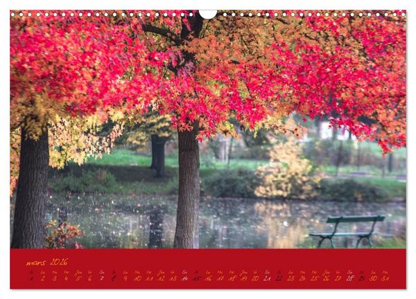 Produktbild: Un automne au Bois (Calendrier mural 2026 DIN A3 vertical), CALVENDO calendrier mensuel