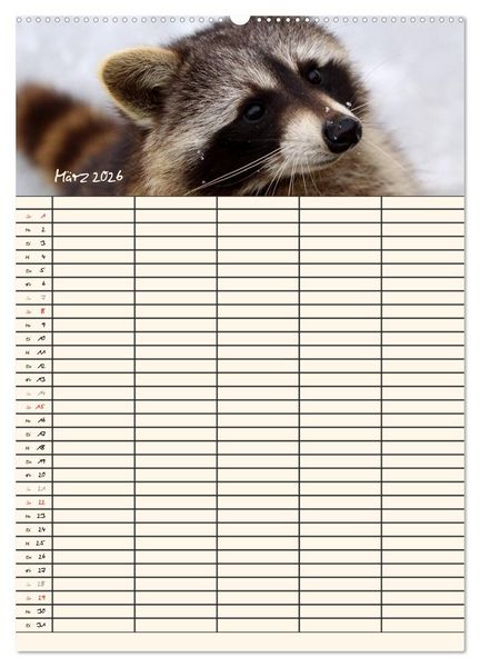 Produktbild: Waschb&auml;ren Familienplaner (Wandkalender 2026 DIN A2 hoch), CALVENDO Monatskalender
