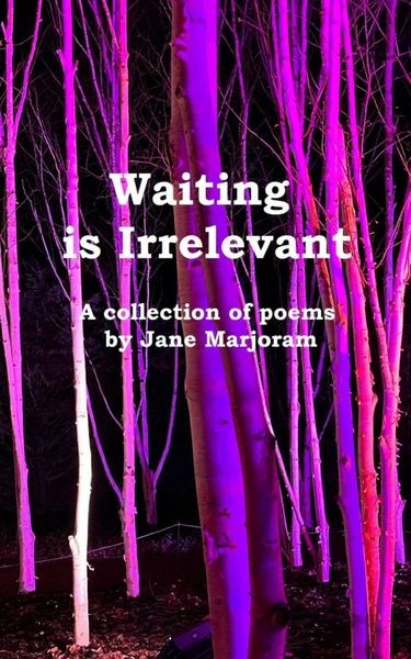 Produktbild: Waiting is irrelevant