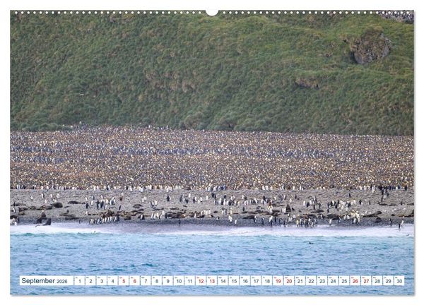 Produktbild: S&uuml;dgeorgien - Abgelegenes Naturparadies (hochwertiger Premium Wandkalender 2026 DIN A2 quer), Kunstdruck in Hochglanz