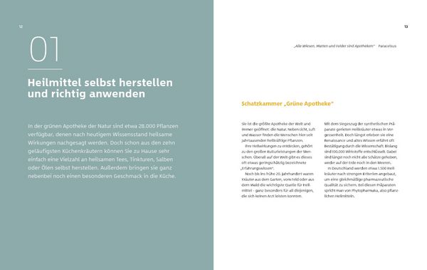Produktbild: 10 Kr&auml;uter gegen 100 Krankheiten