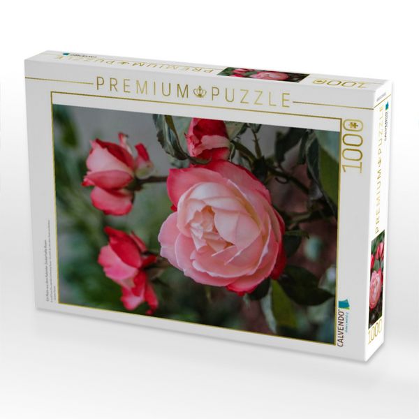Produktbild: CALVENDO Puzzle Ein Motiv aus dem Kalender Zauberhafte Rosen | 1000 Teile Lege-Gr&ouml;&szlig;e 64x48cm Foto-Puzzle f&uuml;r gl&uuml;ckliche Stunden