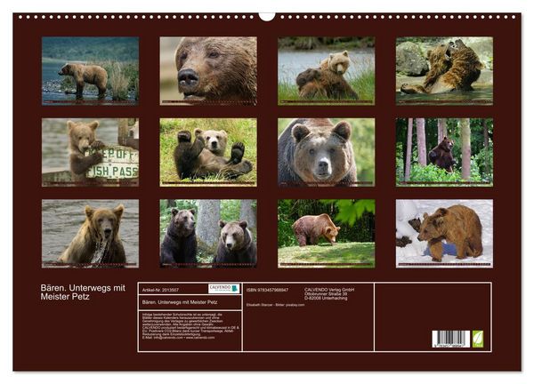 Produktbild: B&auml;ren. Unterwegs mit Meister Petz (Wandkalender 2026 DIN A2 quer), CALVENDO Monatskalender