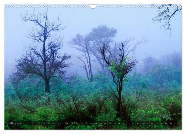 Produktbild: Namibia - Die Landschaft (Wandkalender 2026 DIN A3 quer), CALVENDO Monatskalender