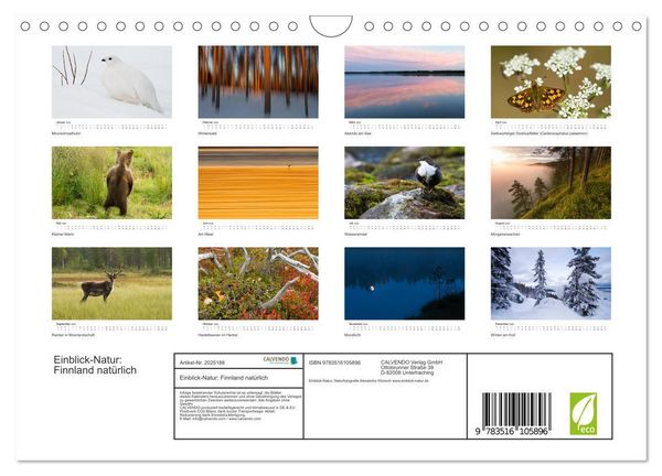 Produktbild: Einblick-Natur: Finnland nat&uuml;rlich (Wandkalender 2026 DIN A4 quer), CALVENDO Monatskalender
